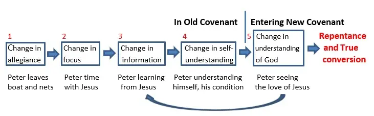 Biblical Meaning of Conversion, Peter