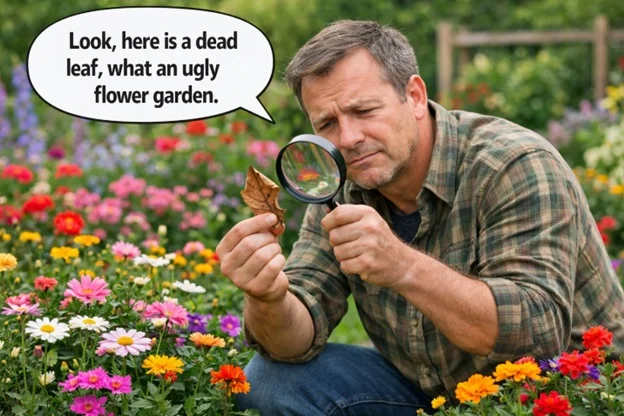 What you focus on helps determine your attitude