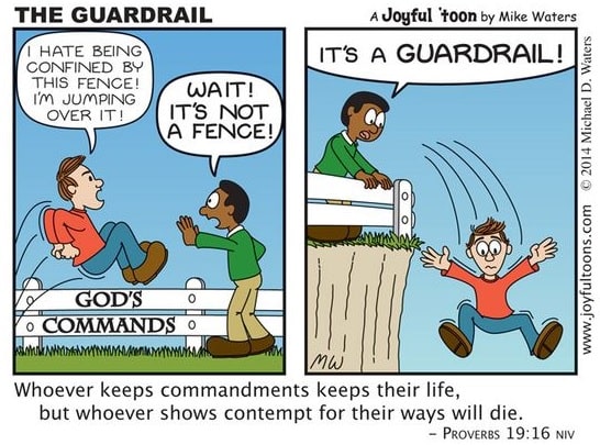Fence or Guard Rail