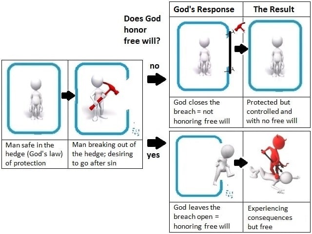 Wrath and free will